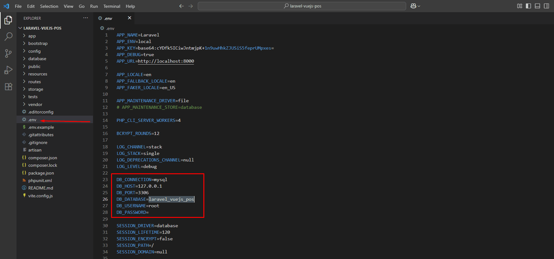 Laravel Vue.js POS – database connection