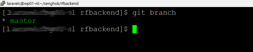 git branch - Manage Branches