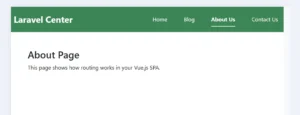 About Laravel Vue.js SPA