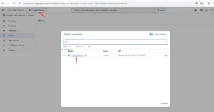 Google OAuth Select Project